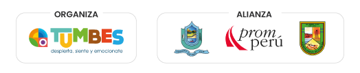 Footer Logo